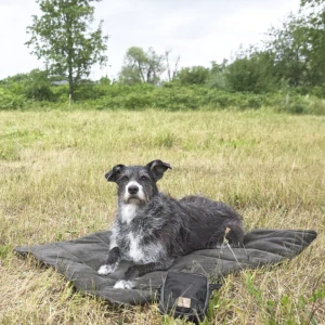 PALOPA Dog Mat Alma 2025 anthracite M-L   (7601.001)