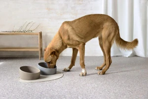 PALOPA Bowl Cali grey   (7605B.02)