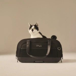Tavo Dupree™ II Double Handle onyx   (9002.002)