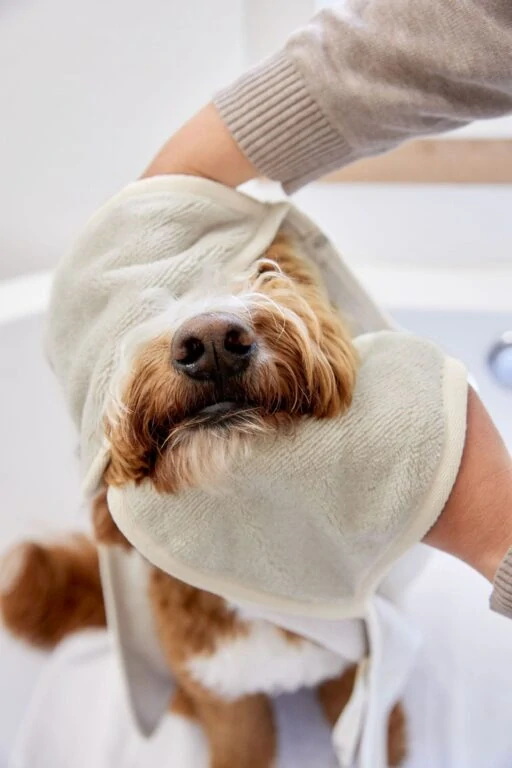 PALOPA Dog Towel Kosy beige S (7603K.02)