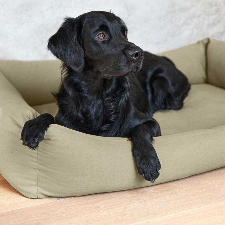 PALOPA Dog Bed Fred XS 2025 sage (7600F.04)