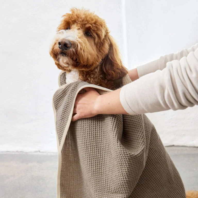 PALOPA Dog Towel Nobs taupe M-L   (7603N.01)