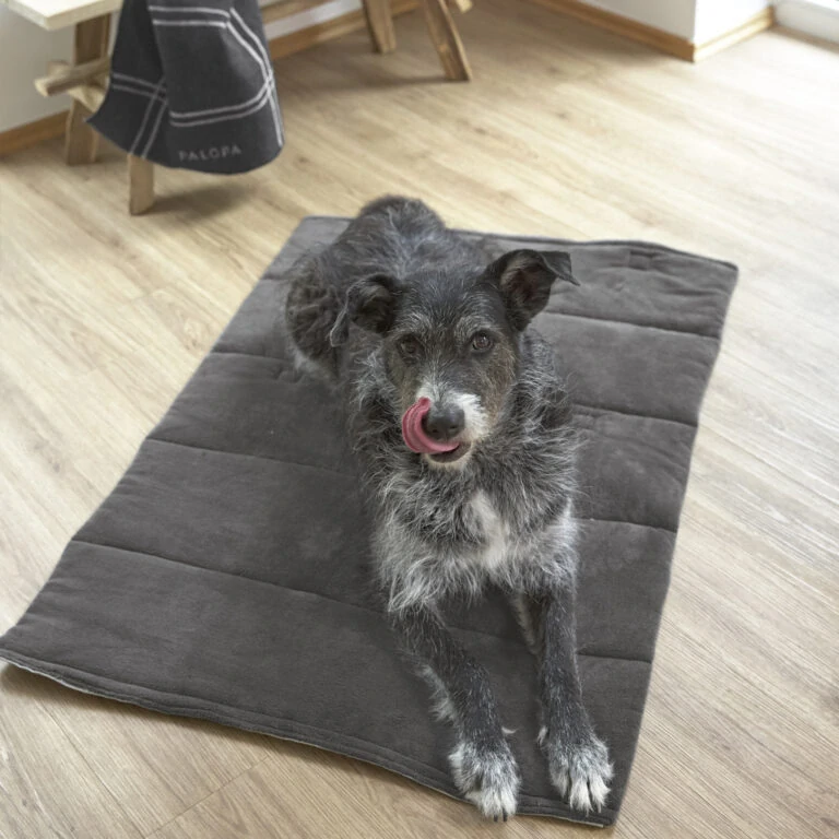 PALOPA Dog Mat Alma 2025 anthracite M-L   (7601.001)