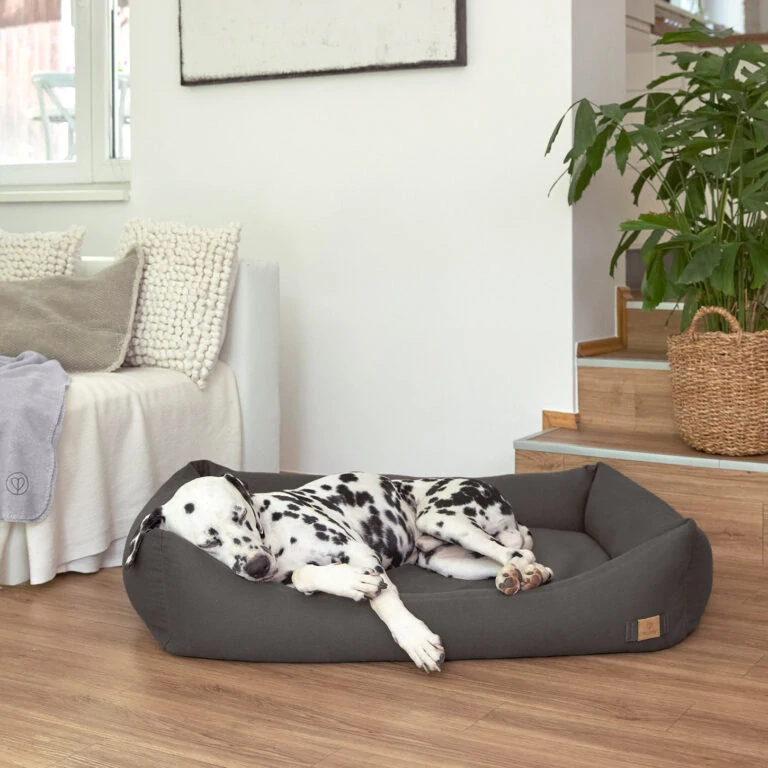 PALOPA Dog Bed Fred XS 2025 anthracite   (7600F.08)