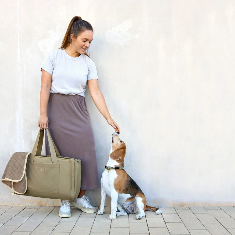 PALOPA Dog Travel Bag Nobo sage   (7612.001)